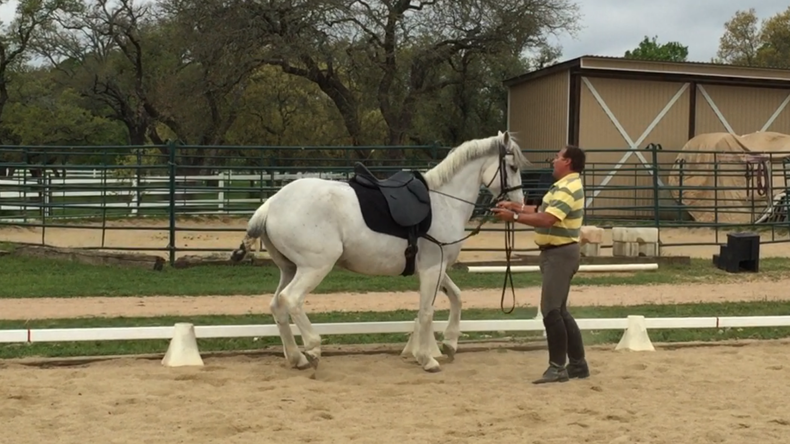 Wyvern Oaks Alfredo Hernandez, Day 3 Piaffe and passage