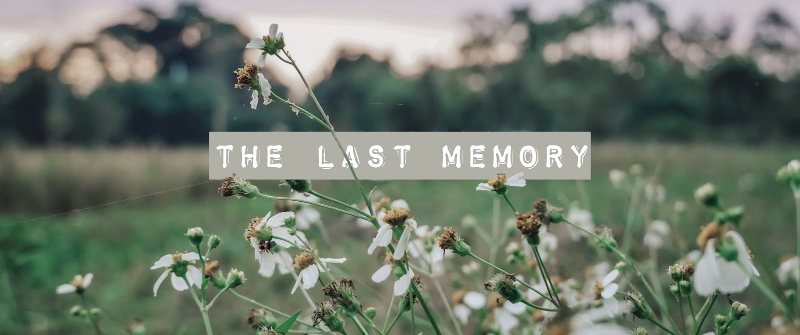 The last memory