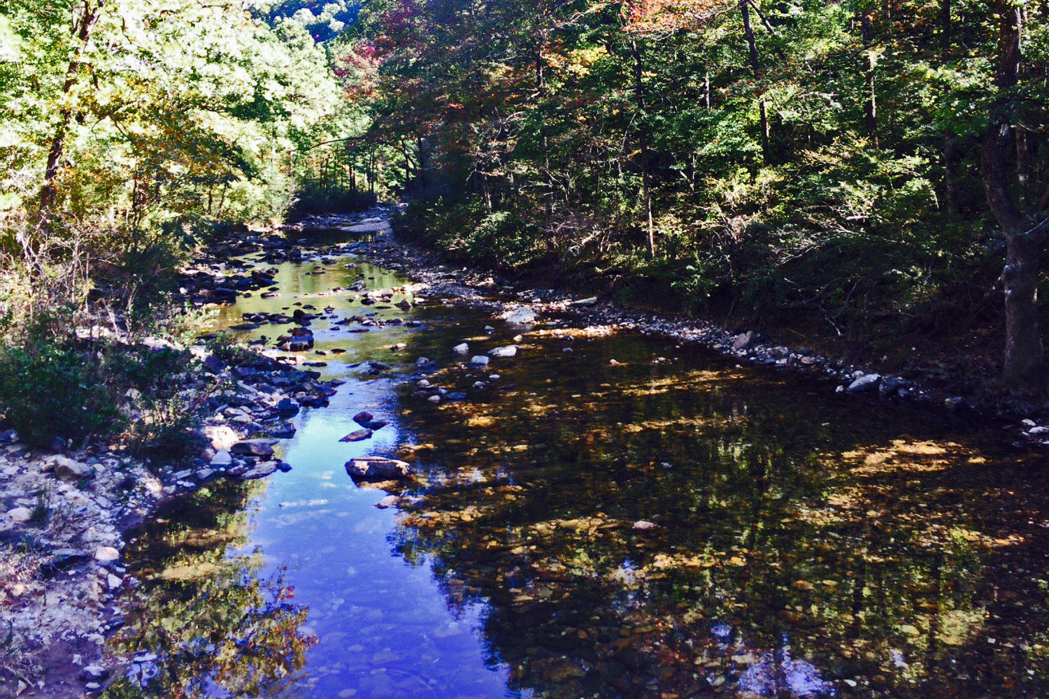 An Arkies Musings Caney Creek Wilderness Area