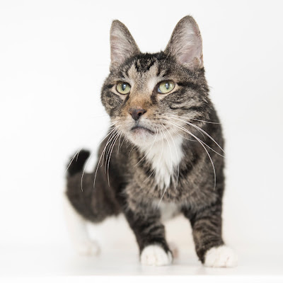 A big THANK YOU from Freddie