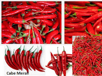 Tips Bisnis Menjalankan Usaha Cabe Merah Yang Menguntungkan Tips Bisnis Menjalankan Usaha Cabe Merah Yang Menguntungkan