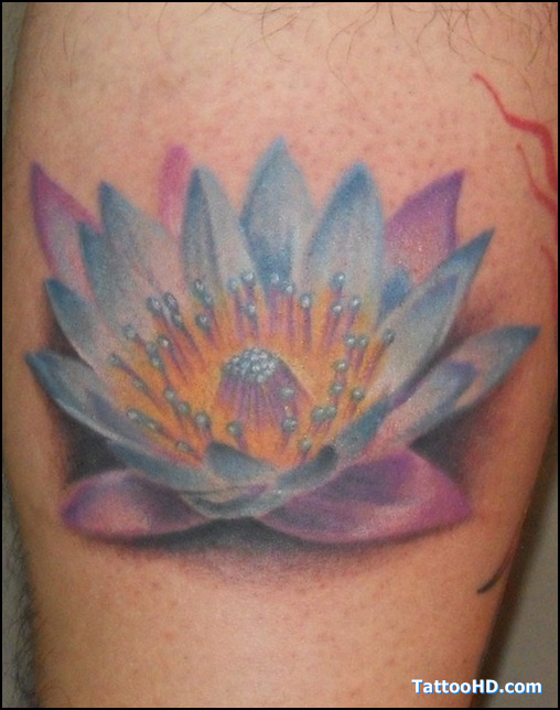 Hawaiian Tribal Tattoos - Tattoos Facebook