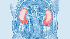 kidney failure ka kamyab gharelu nuskha in urdu