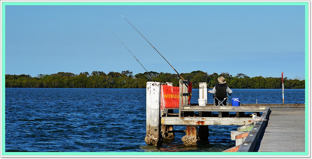 tern on bridge