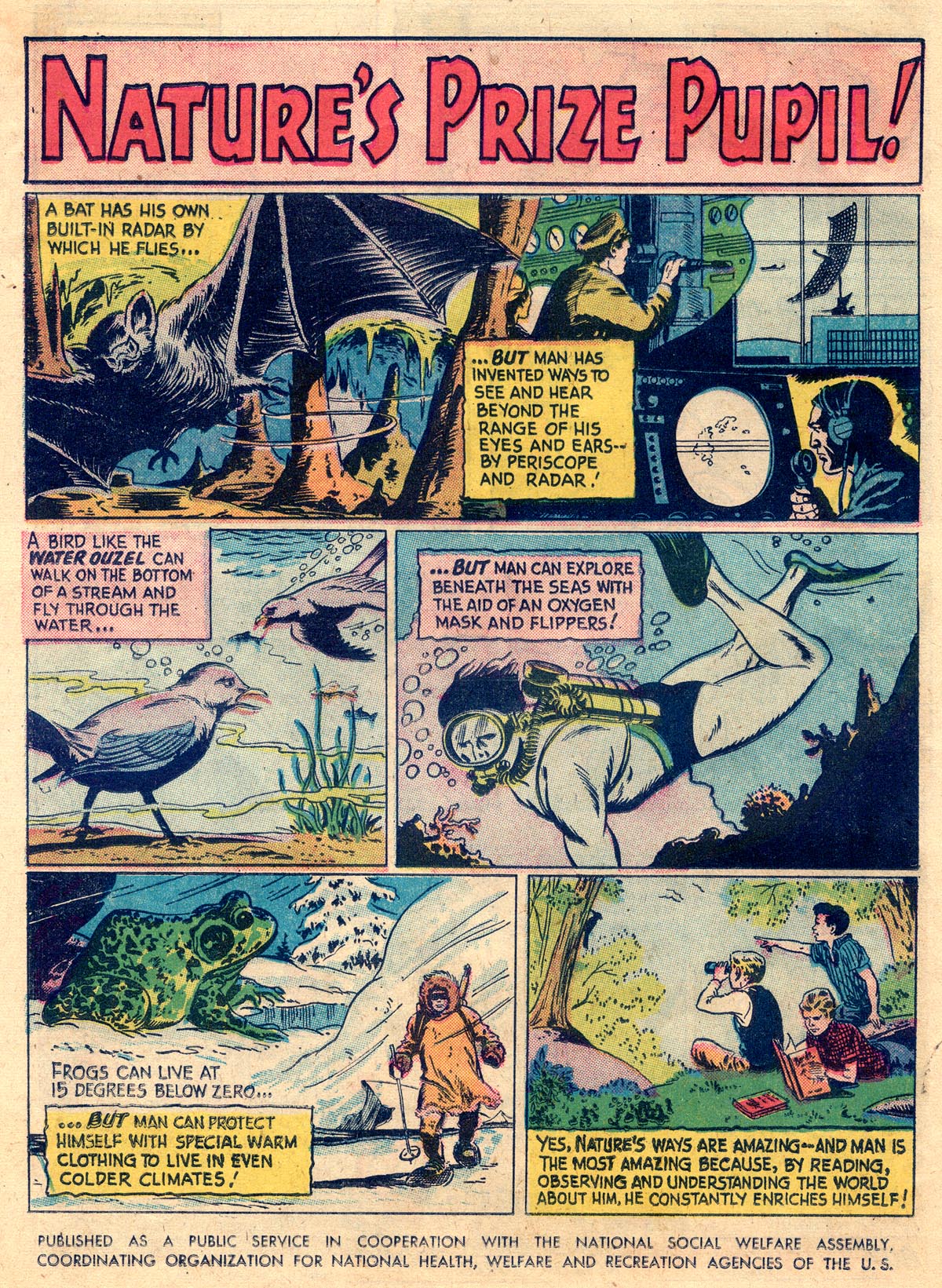 Read online Batman (1940) comic -  Issue #116 - 12