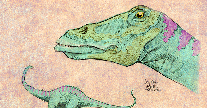 gambar mewarnai diplodocus