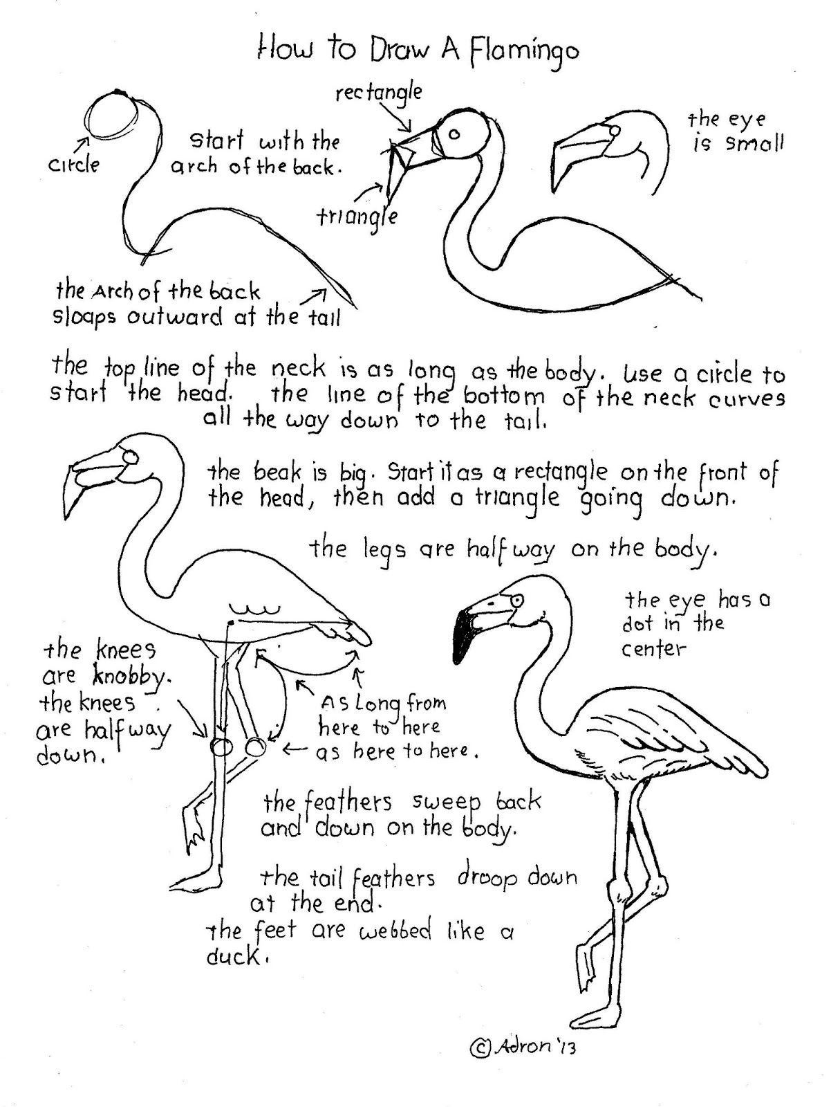 How to Draw Worksheets for The Young Artist: How To Draw A Flamingo