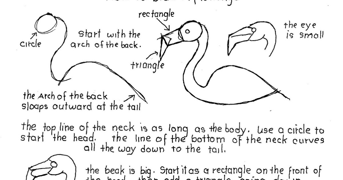 How to Draw Worksheets for The Young Artist: How To Draw A Flamingo