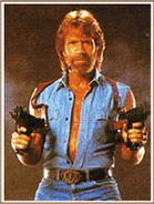 Chuck Norris: Bring on the Pain Mobile Game by Gameloft