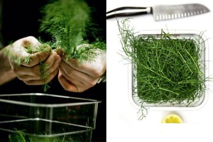 Drying vegetables in case of emergency