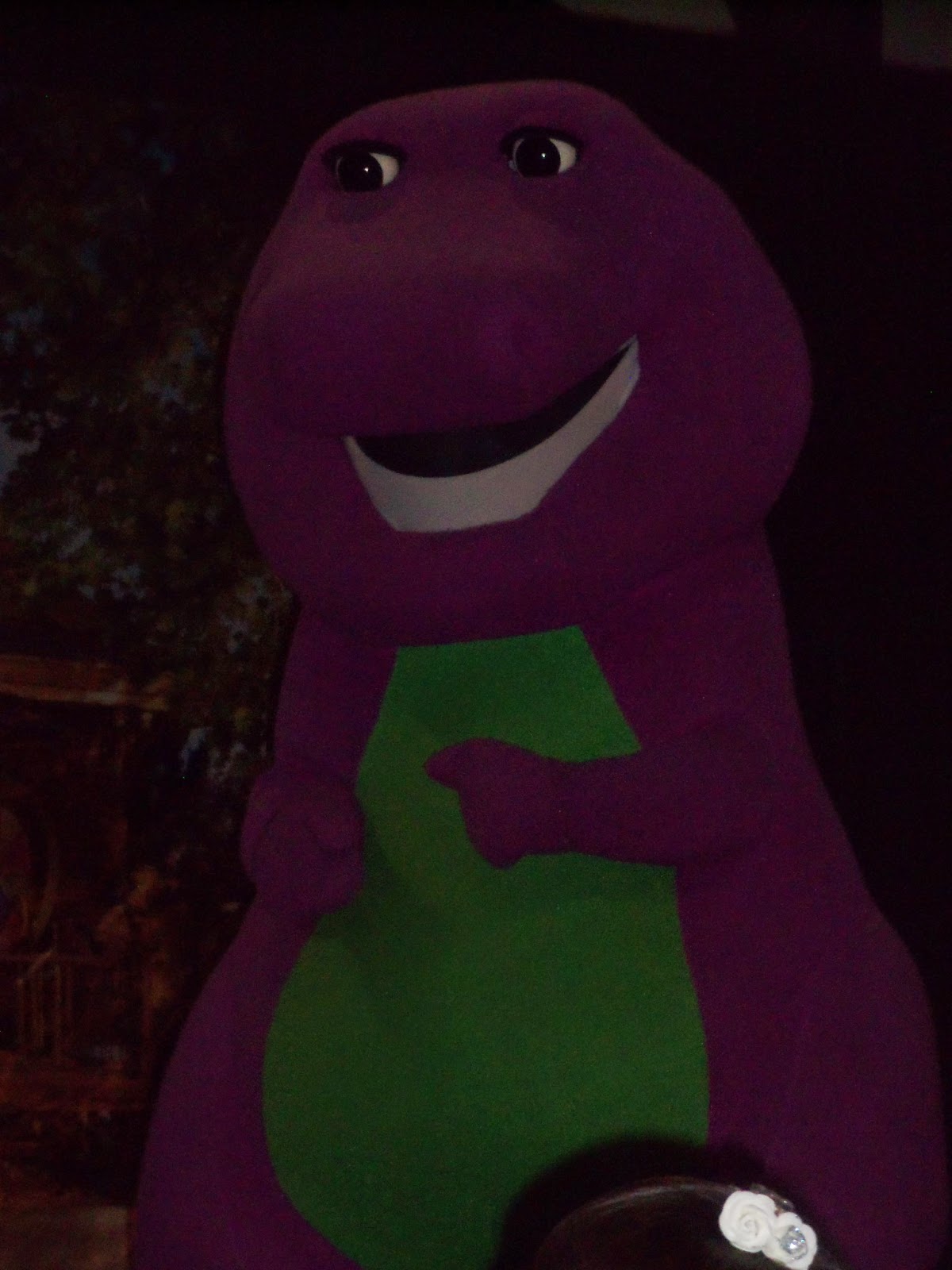My Grace-full Life: Barney Live!!!