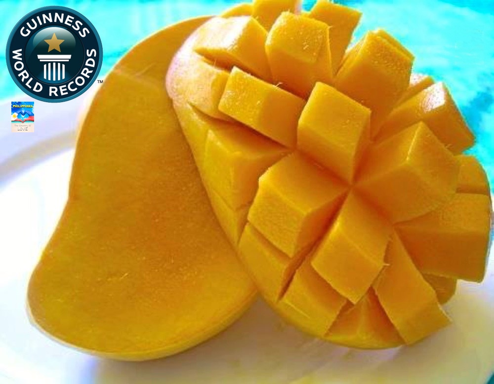 WORLD'S SWEETEST MANGO AND SWEETEST FRUIT PHILIPPINE CARABAO MANGO