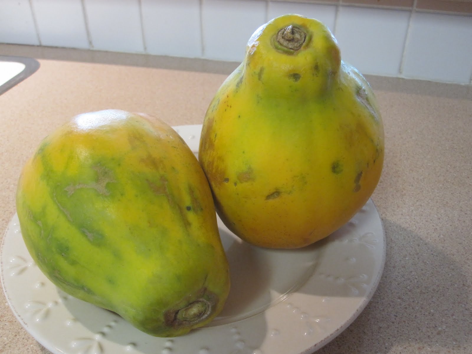 Cannundrums Strawberry (Sunrise) Papaya