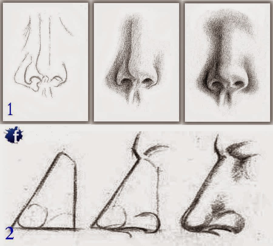 How to draw noses step by step (Two lessons) Learn To
