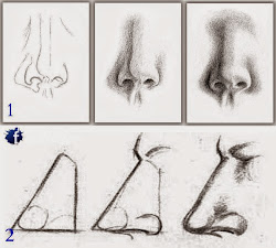 step draw noses learn paint nose drawings lessons realistic
