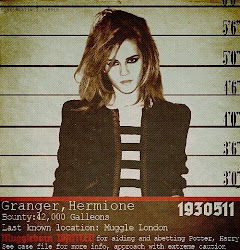 potter harry wanted poster hermione granger cool facts posters where think320 voldemort cast dark hermoine occupation awsome artsy neville