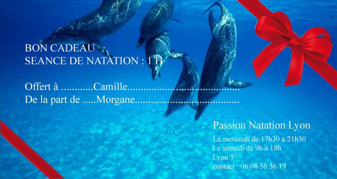 Cours De Natation Particulier Dans Un Bassin Pour Vous Seul Lyon 7: Unique  En France: Bon Cadeau : Séance De Natation