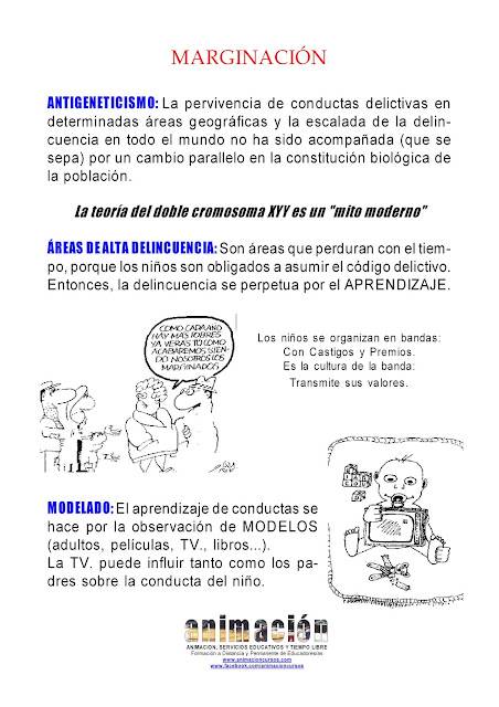 curso educador de calle