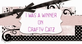 Winner on Crafty Catz