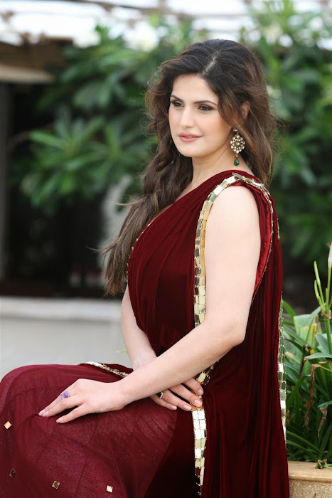 zarine khan glamorous in saree photo gallery
