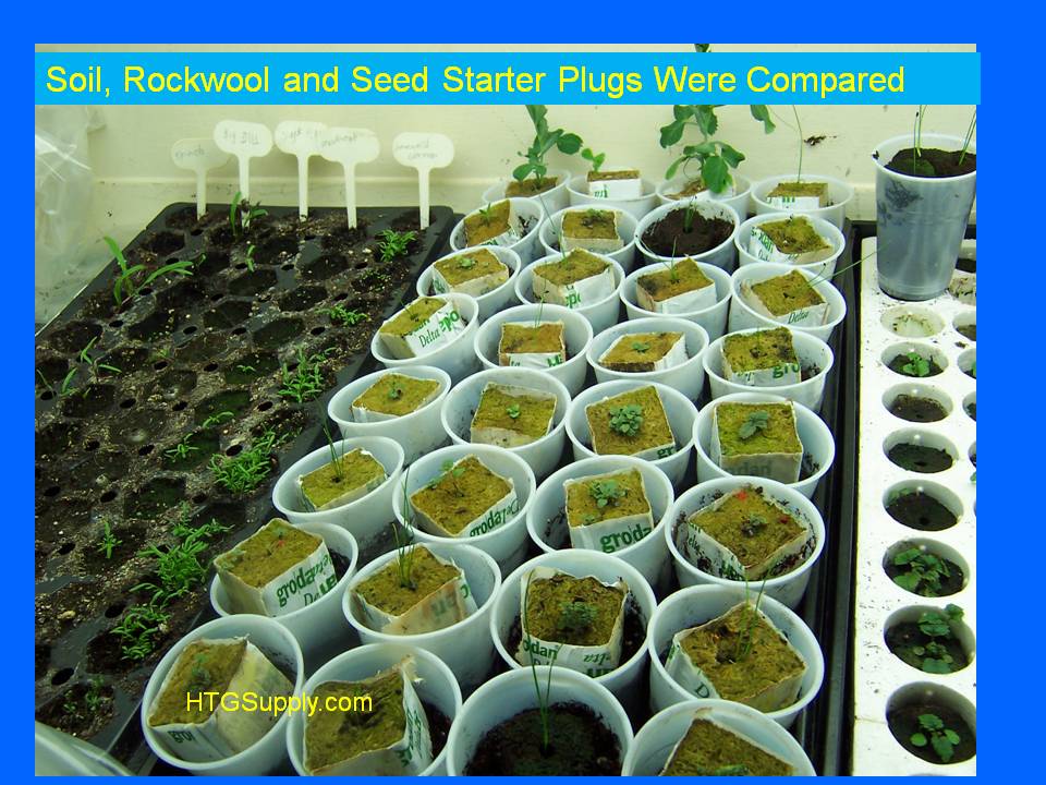 HTGSupplys Ask The Doc Test for the Best Medium for Seed Germination