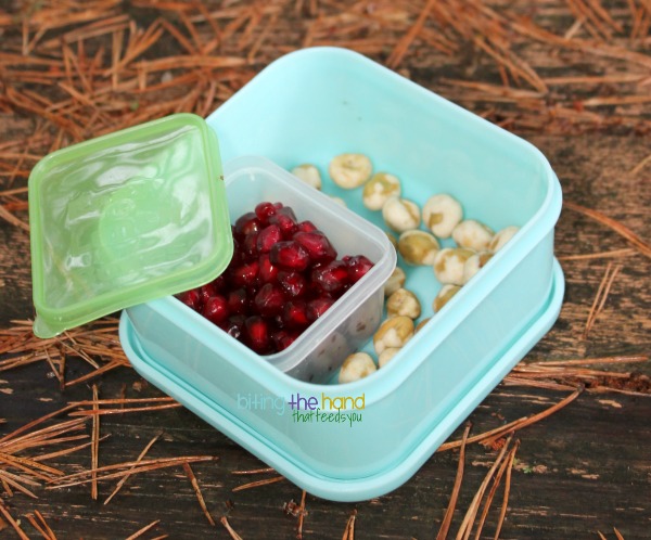  Biting The Hand That Feeds You: A Week of Kindergarten Snacks, October 2013 Bildidee 