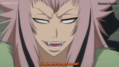 Ver Bleach La historia alterna de las zanpakuto - Capítulo 234