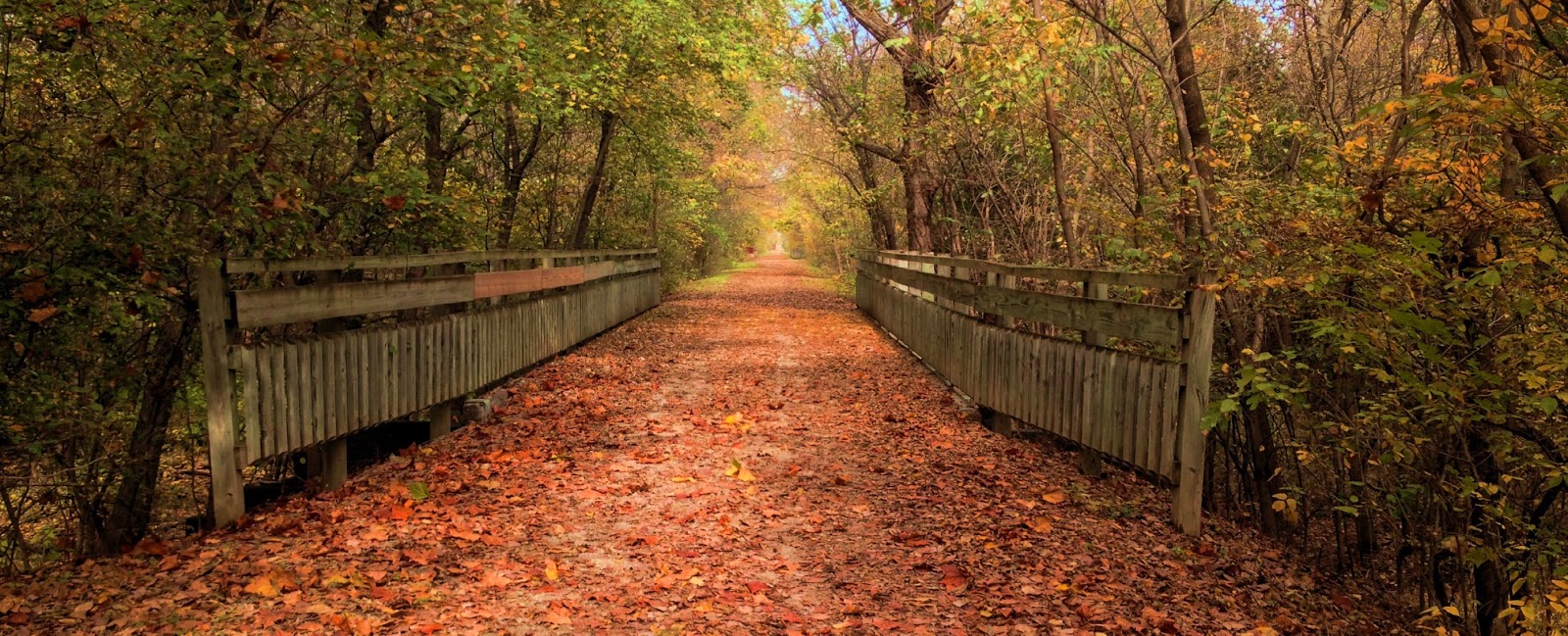 Lady Israelite Holidays and Nature