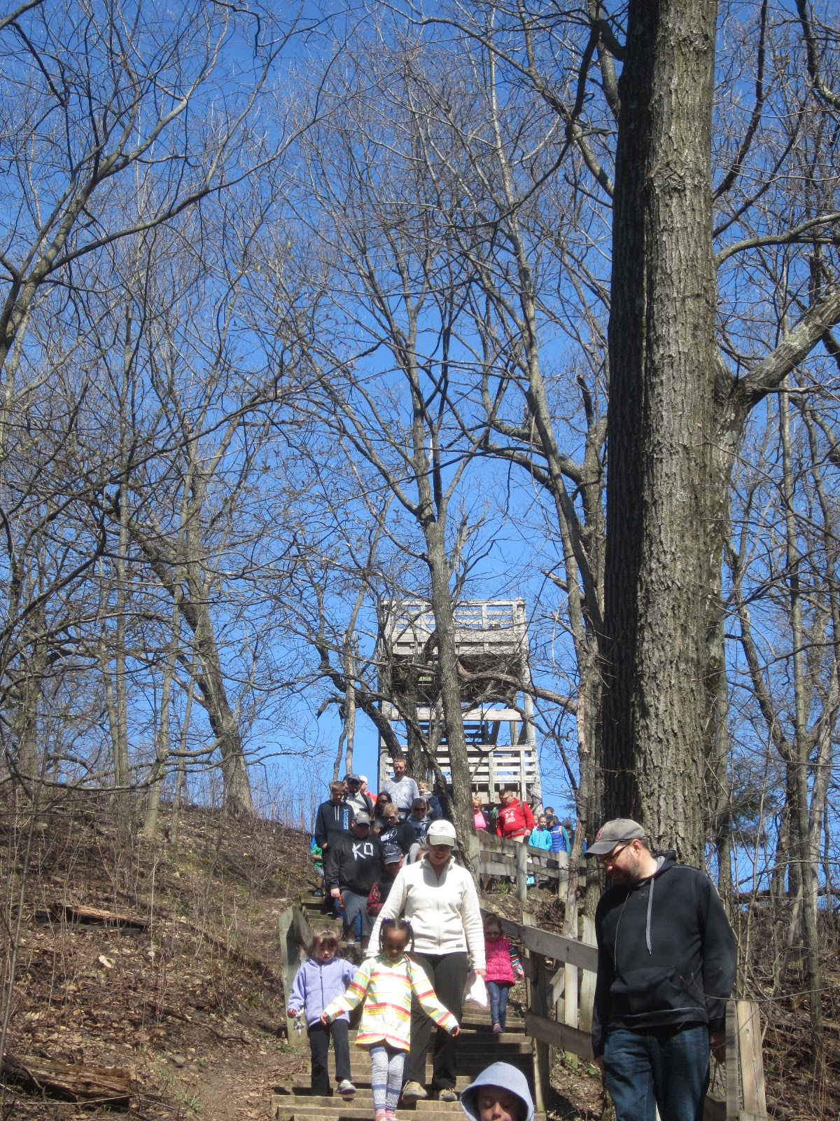 Tales From the Trails Tyke Hike 22 Lapham Peak