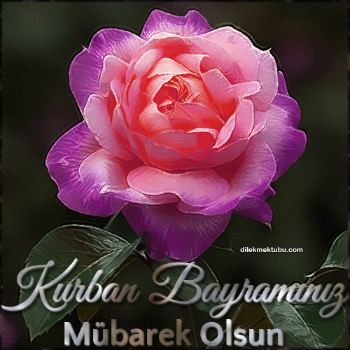 ramazan bayrami mesajlari 2020 gif