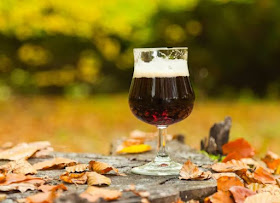 Birre d'autunno. Una panoramica sugli stili più adatti alla stagione autunnale