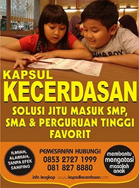 Kapsul kecerdasan