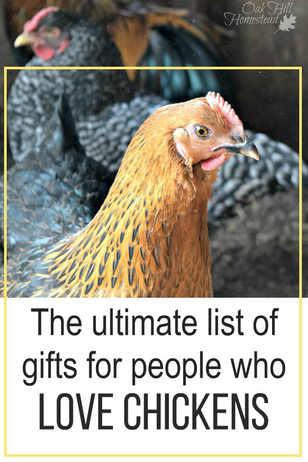 The Ultimate List of Gift Ideas for People Who Love Chickens, Updated