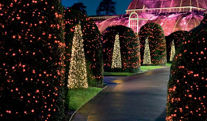 Grays Blog: Christmas at Kew Gardens!