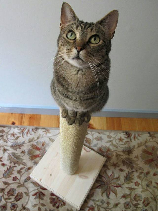 Picdump-Rite-Mail-036.jpg