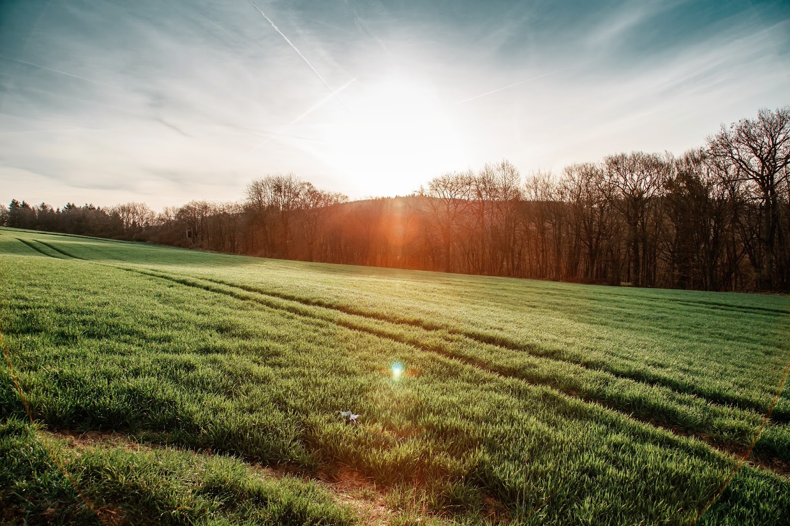 Bushcooks Kitchen Weinrallye 102 September Auf Einem Mosel Weingut