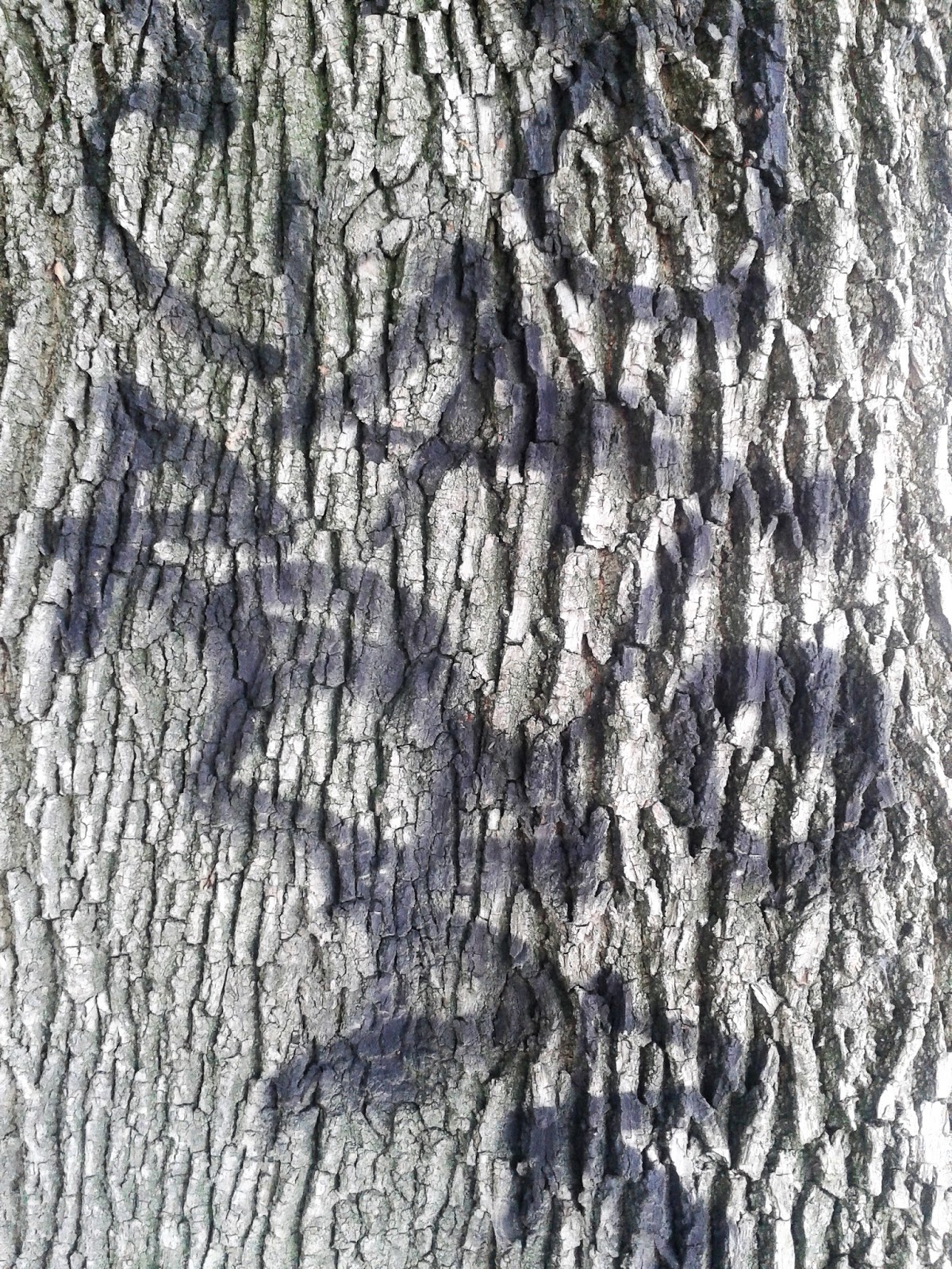 THOUGHTS ON ARCHITECTURE AND URBANISM: Graffiti abstracts at Murdy park