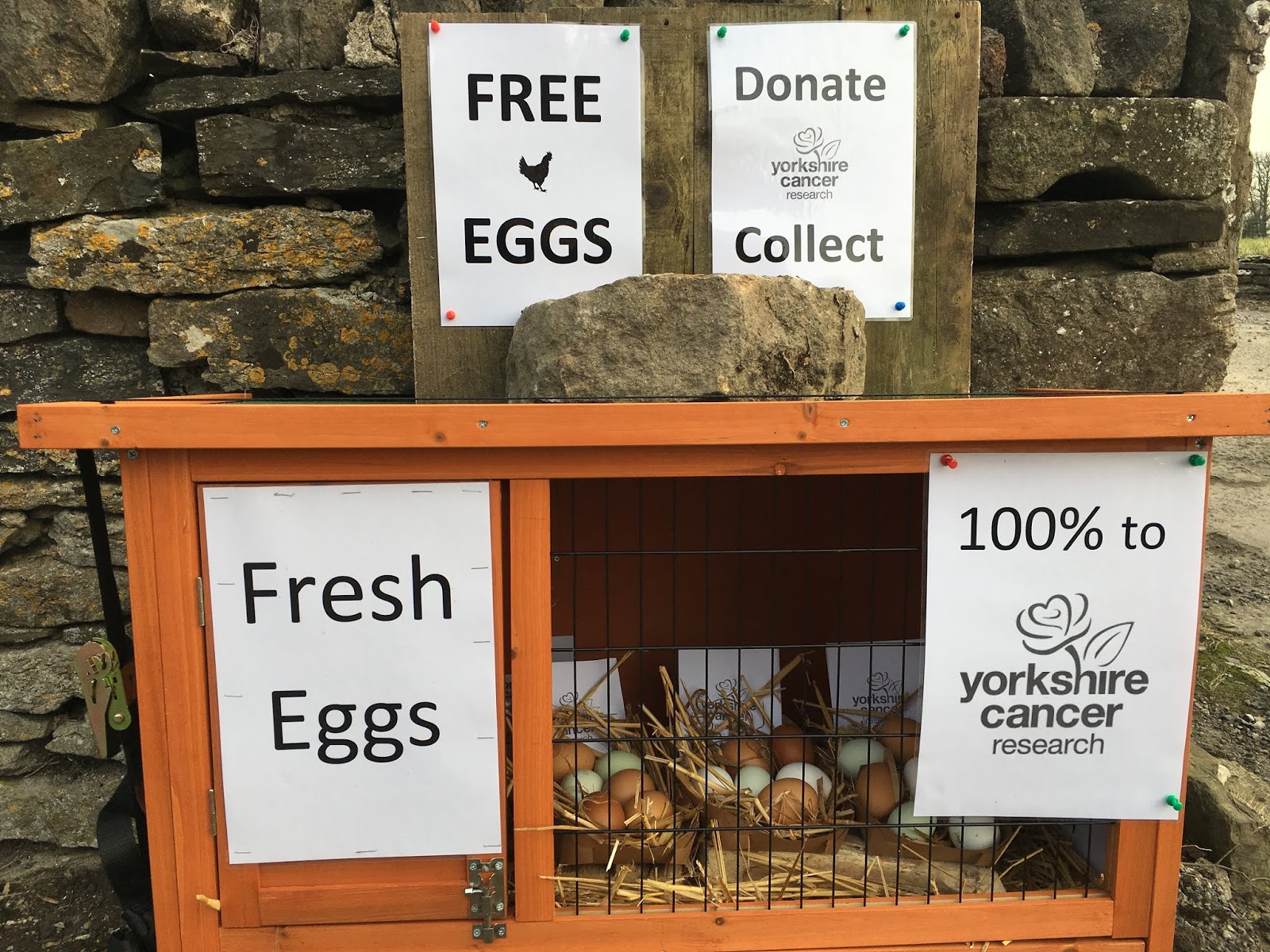 Free Eggs Donate to Yorkshire Cancer Research