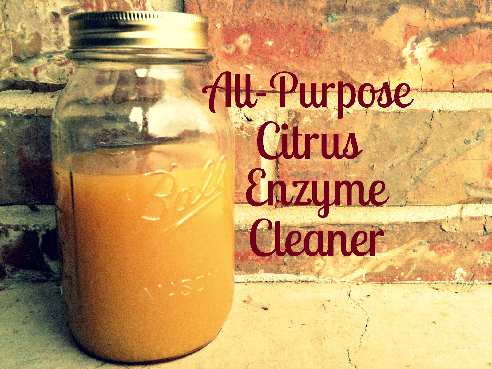 Beautiful Somehow All Purpose Citrus Enzyme Cleaner