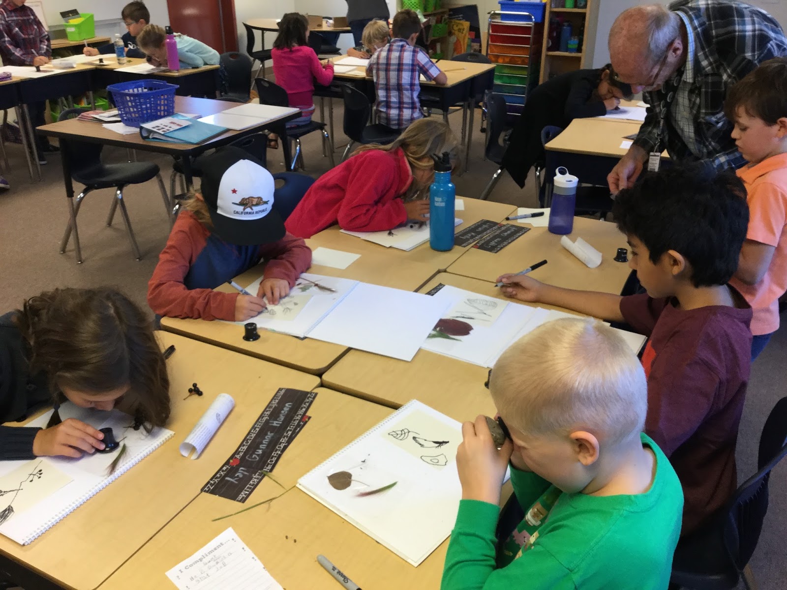 Ms. Pittel's Classroom