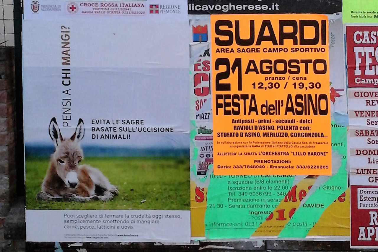 incontri vegan pulcini