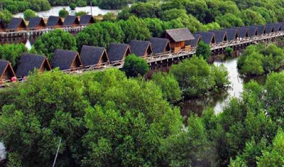 Lokasi Taman Wisata Alam Mangrove PIK Angke Kapuk Jakarta Utara