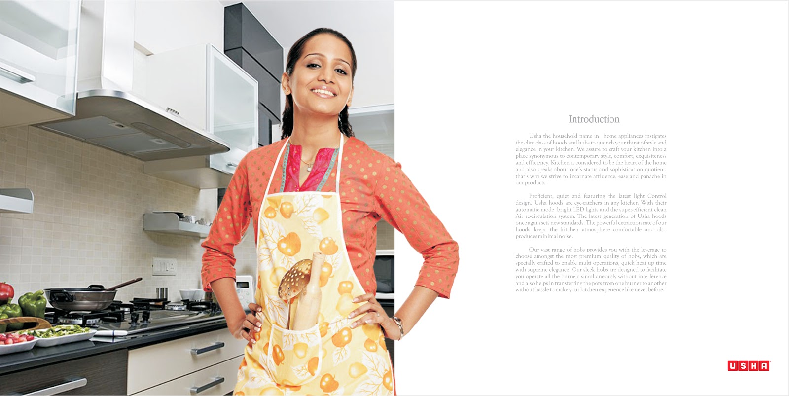 professional work Usha Brochure