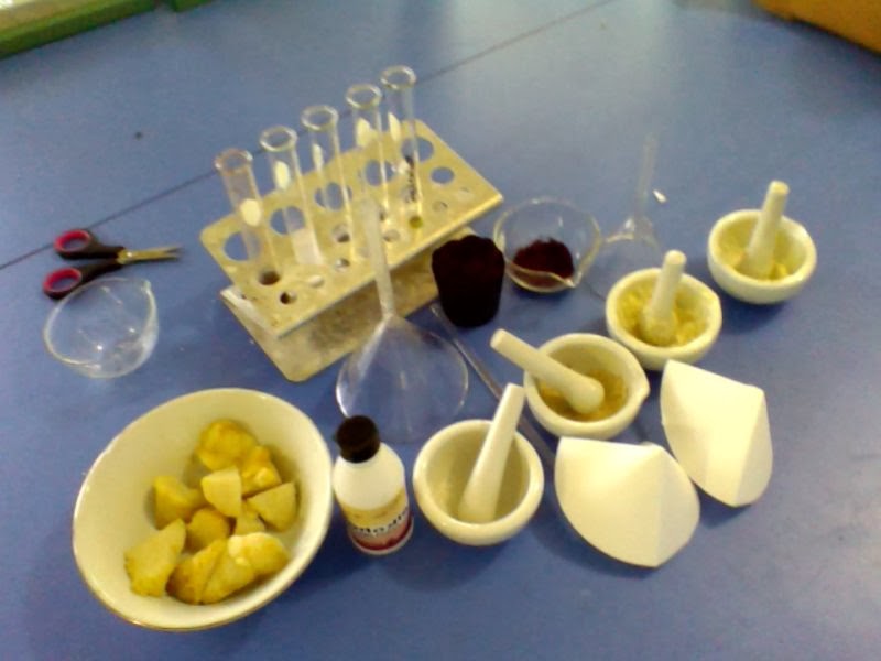 Bonjour A Level Ethanol Emulsion For Testing Of Fats