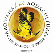 ArowanaLui Aquaculture