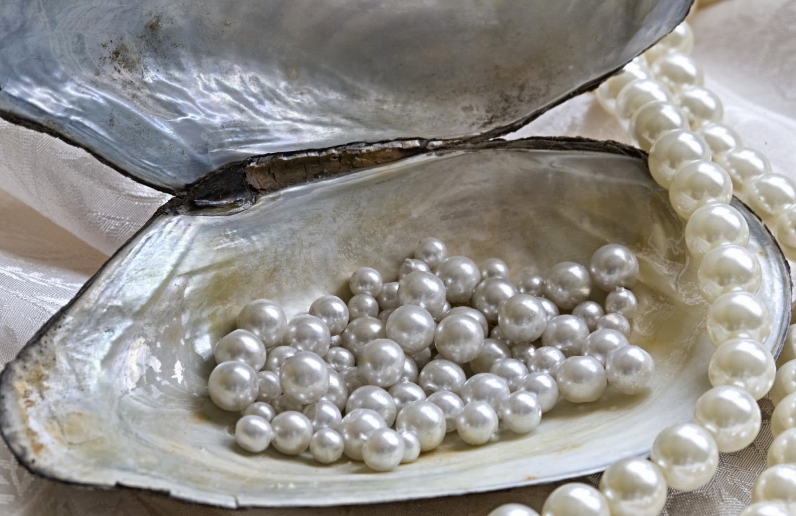 Biodiversity Science DNA Fingerprinting of Pearls