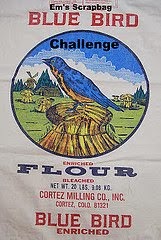 Blue Bird Challenge