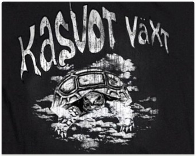 Kasvot Vaxt Turtle In The Clouds inspired T Shirts Hoodie Sweatshirt. GET IT HERE
