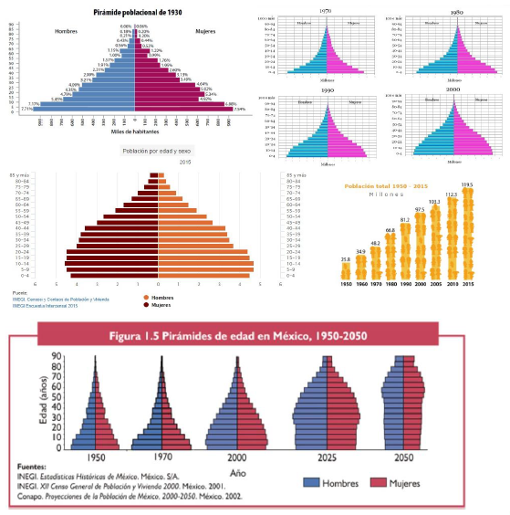 Enseñanza y Aprendizaje Reporte sobre La evolución de la población en