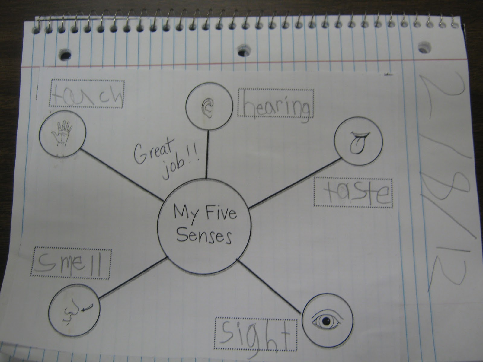 Mrs. Bagby's Kindergarten: Our Five Senses